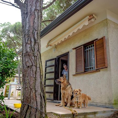 Arco Bungalow ايراكليا ماري المظهر الخارجي الصورة