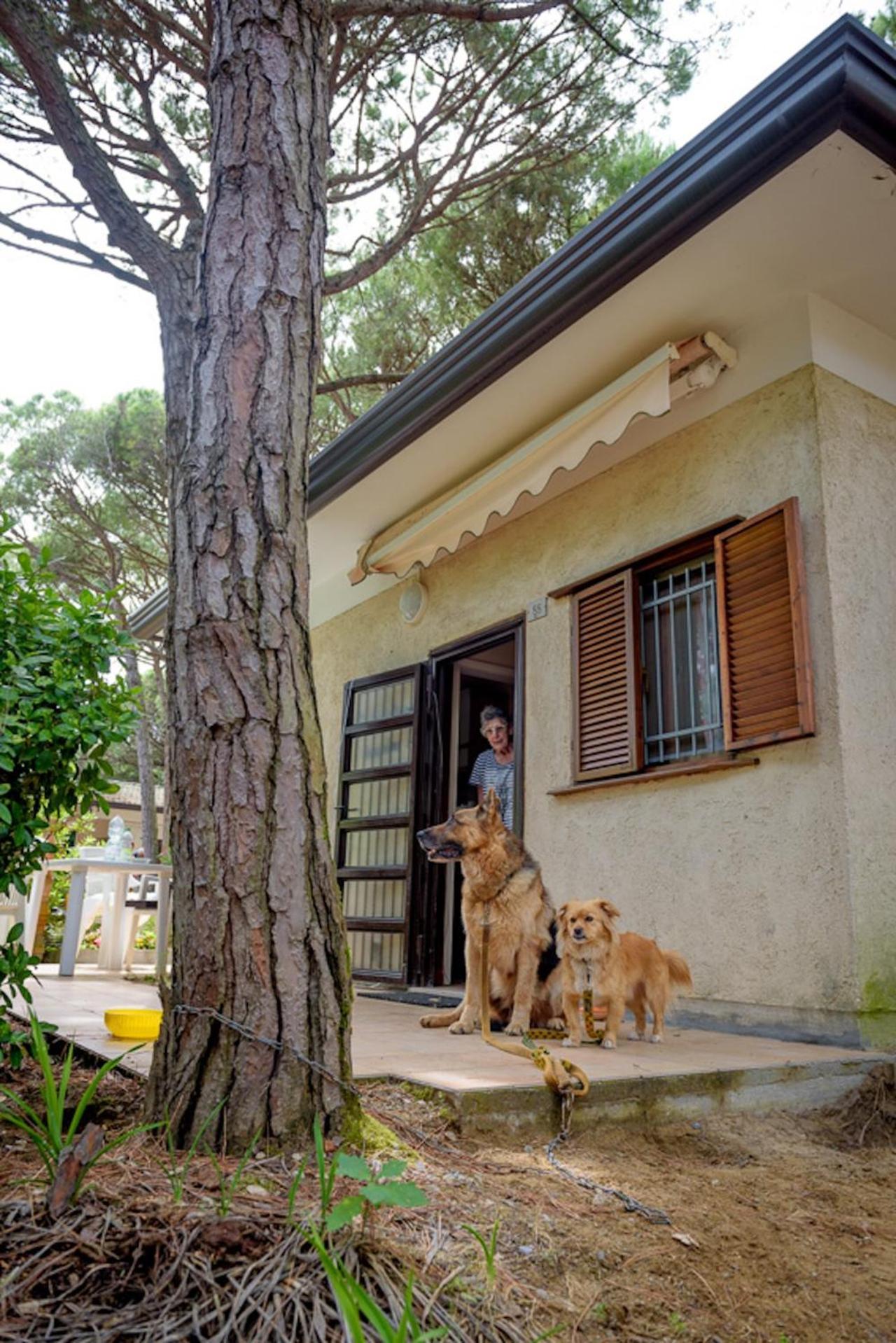 Arco Bungalow ايراكليا ماري المظهر الخارجي الصورة